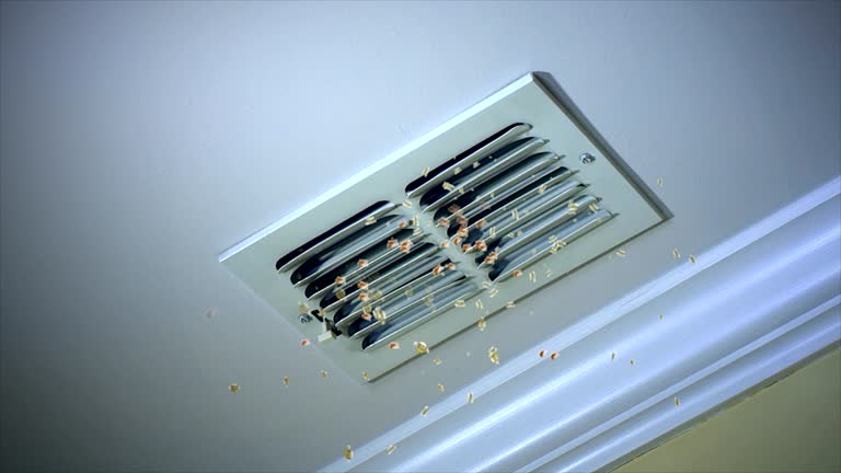 Best Ventilation Cleaning Services  in Inver Grove Heights, MN