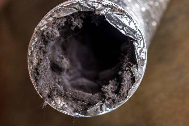 Best Air Duct Cleaning Near Me  in Inver Grove Heights, MN