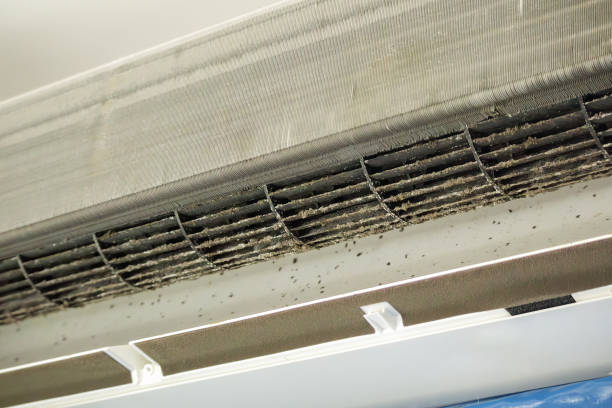 Best Commercial Air Duct Cleaning  in Inver Grove Heights, MN